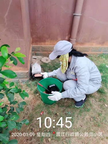 1月09日海口拜克美害虫防治对昌江县石碌镇开展病媒生物防制